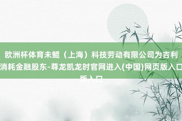 欧洲杯体育未鲲（上海）科技劳动有限公司为吉利消耗金融股东-尊龙凯龙时官网进入(中国)网页版入口