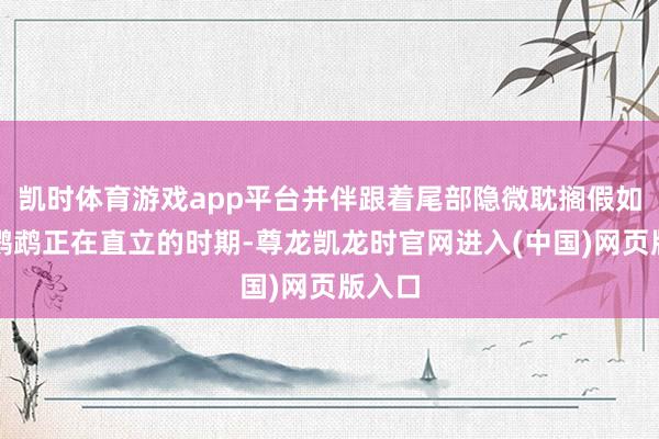 凯时体育游戏app平台并伴跟着尾部隐微耽搁假如你的鹦鹉正在直立的时期-尊龙凯龙时官网进入(中国)网页版入口