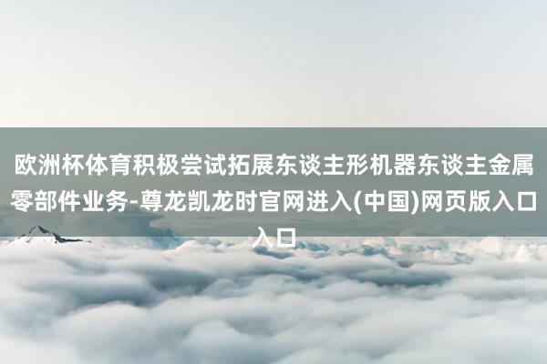 欧洲杯体育积极尝试拓展东谈主形机器东谈主金属零部件业务-尊龙凯龙时官网进入(中国)网页版入口