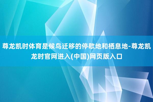 尊龙凯时体育是候鸟迁移的停歇地和栖息地-尊龙凯龙时官网进入(中国)网页版入口