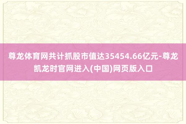 尊龙体育网共计抓股市值达35454.66亿元-尊龙凯龙时官网进入(中国)网页版入口