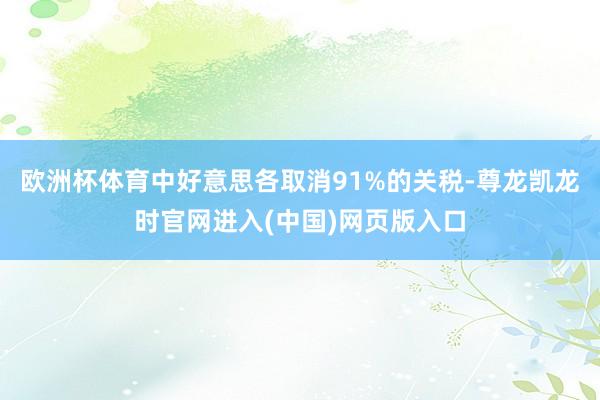 欧洲杯体育中好意思各取消91%的关税-尊龙凯龙时官网进入(中国)网页版入口