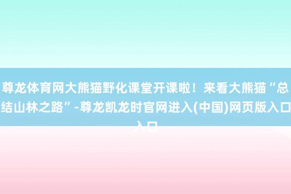 尊龙体育网大熊猫野化课堂开课啦！来看大熊猫“总结山林之路”-尊龙凯龙时官网进入(中国)网页版入口