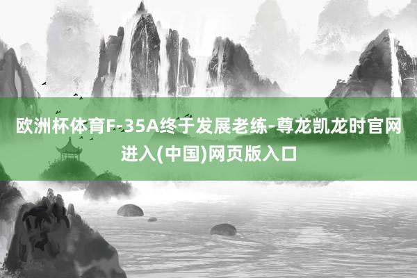欧洲杯体育F-35A终于发展老练-尊龙凯龙时官网进入(中国)网页版入口