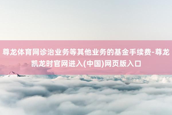 尊龙体育网诊治业务等其他业务的基金手续费-尊龙凯龙时官网进入(中国)网页版入口