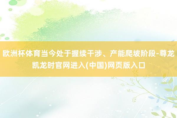 欧洲杯体育当今处于握续干涉、产能爬坡阶段-尊龙凯龙时官网进入(中国)网页版入口
