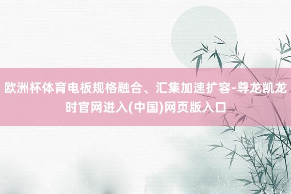 欧洲杯体育电板规格融合、汇集加速扩容-尊龙凯龙时官网进入(中国)网页版入口