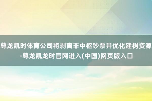 尊龙凯时体育公司将剥离非中枢钞票并优化建树资源-尊龙凯龙时官网进入(中国)网页版入口