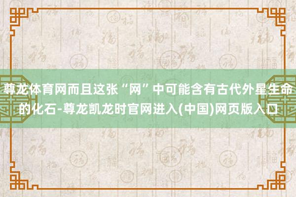 尊龙体育网而且这张“网”中可能含有古代外星生命的化石-尊龙凯龙时官网进入(中国)网页版入口