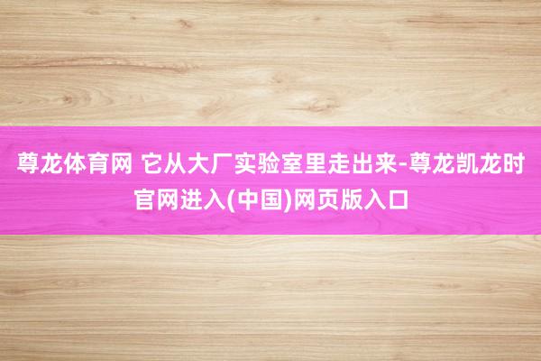 尊龙体育网 它从大厂实验室里走出来-尊龙凯龙时官网进入(中国)网页版入口