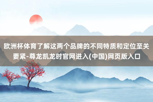 欧洲杯体育了解这两个品牌的不同特质和定位至关要紧-尊龙凯龙时官网进入(中国)网页版入口