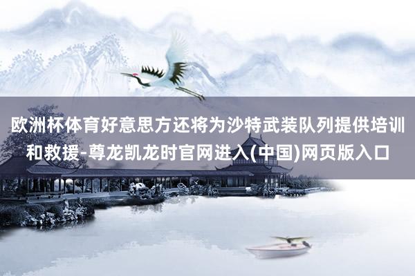 欧洲杯体育好意思方还将为沙特武装队列提供培训和救援-尊龙凯龙时官网进入(中国)网页版入口
