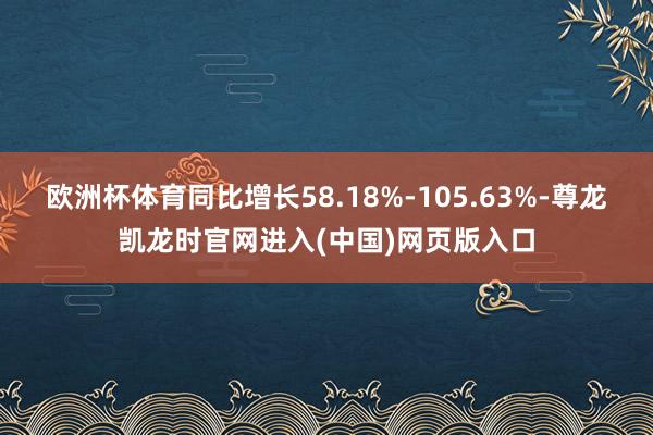 欧洲杯体育同比增长58.18%-105.63%-尊龙凯龙时官网进入(中国)网页版入口