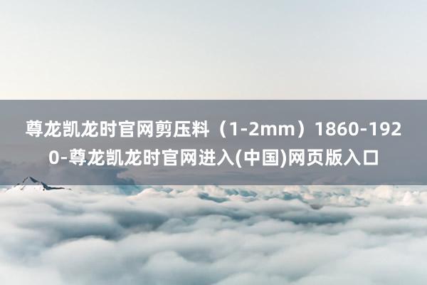 尊龙凯龙时官网剪压料（1-2mm）1860-1920-尊龙凯龙时官网进入(中国)网页版入口
